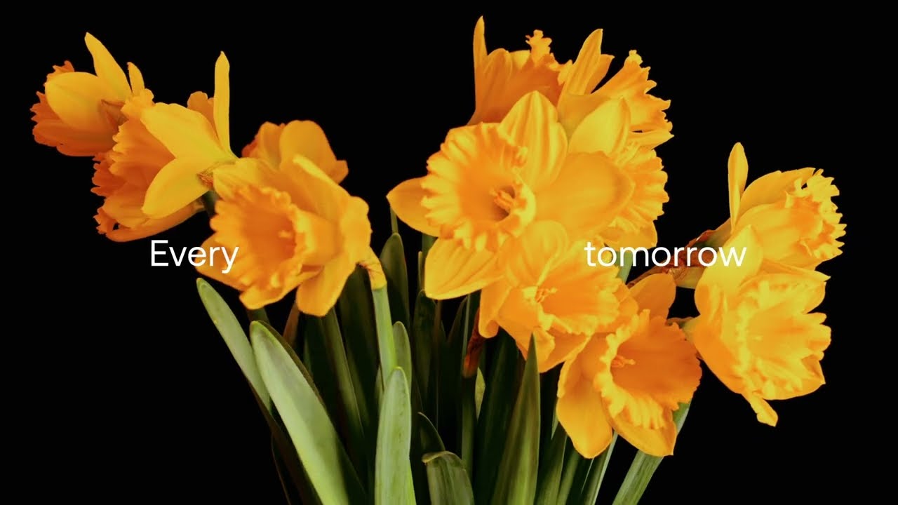 Calamos Today For Tomorrow