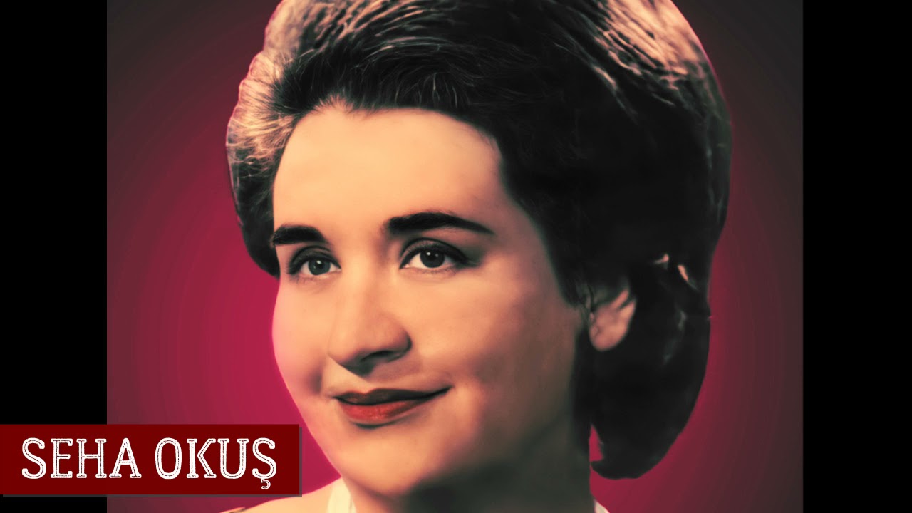 Evlerinin Önü Kuyu - Seha Okuş -  (Eller Gelmiş Sen De Gel)