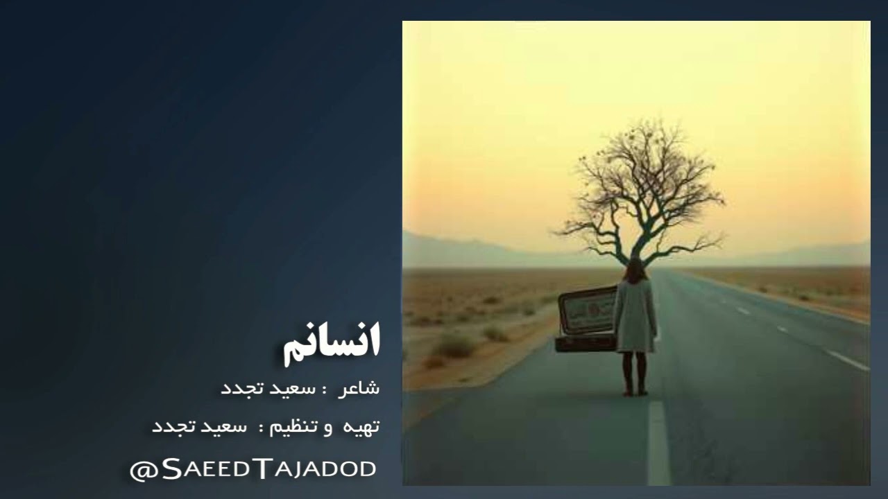 انسانم-پانک