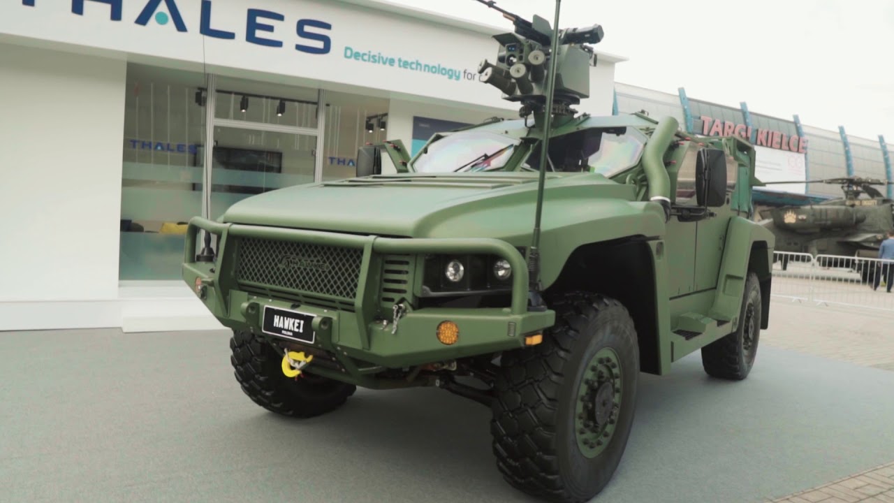 Hawkei