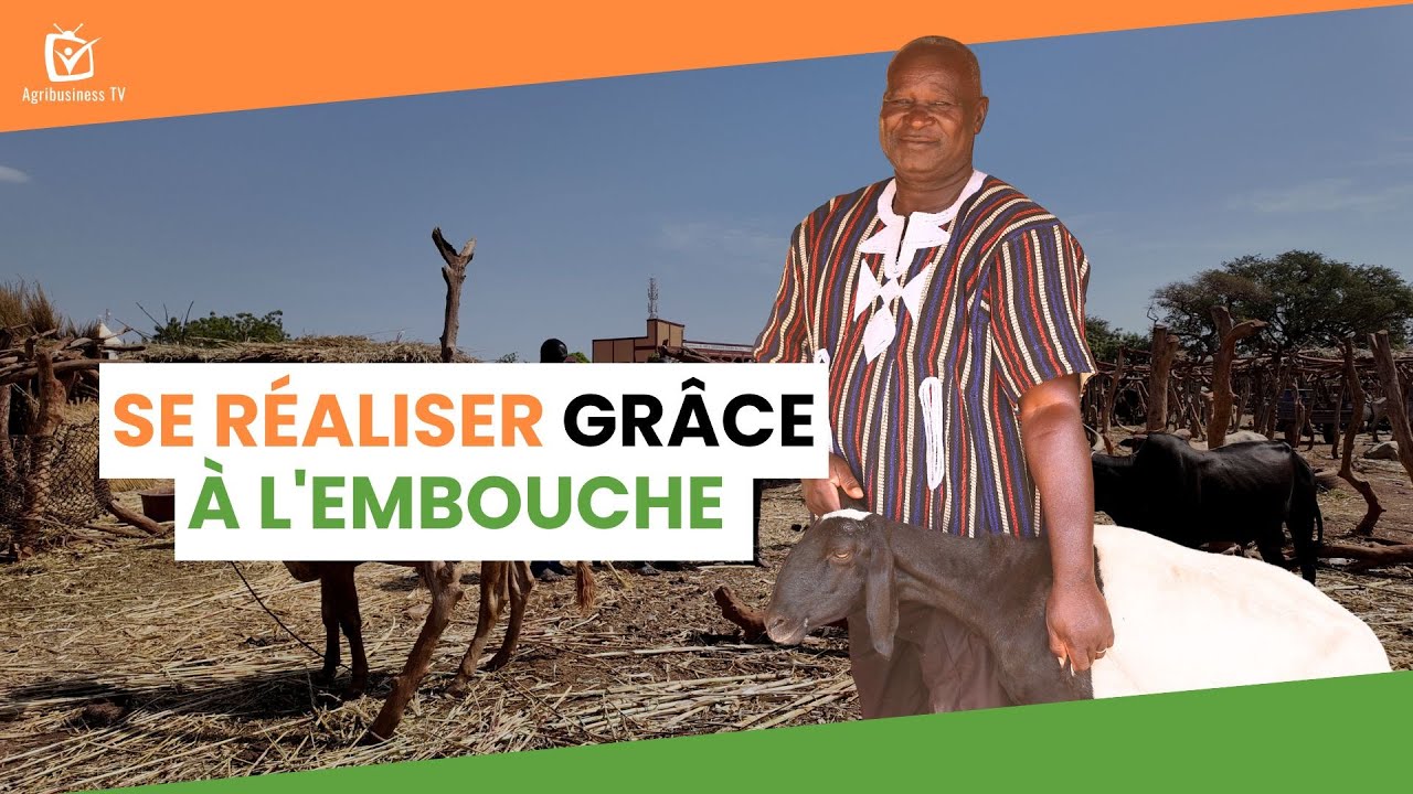 Burkina Faso : Se réaliser grâce à l'embouche