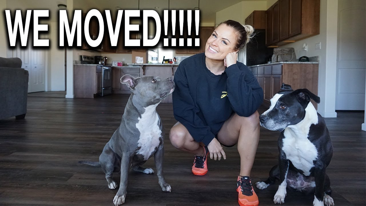 WE MOVED! House Tour & Life Update