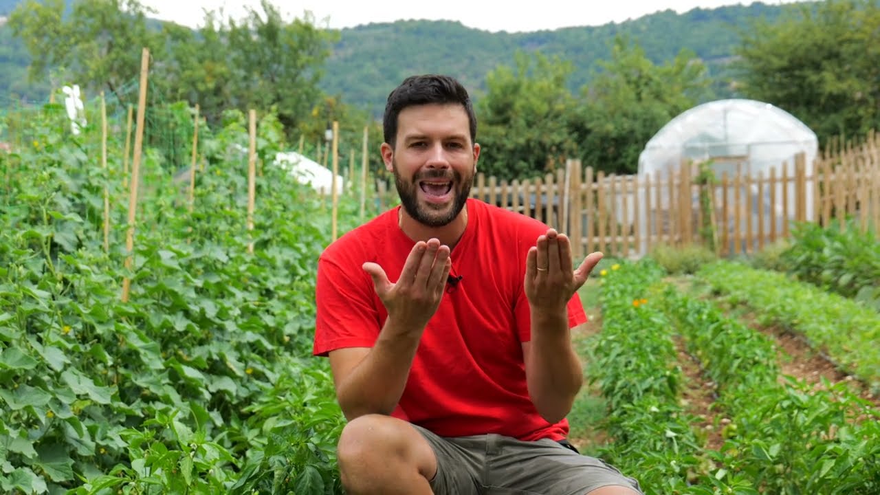 Quello che i SARDI hanno FATTO... e noi no