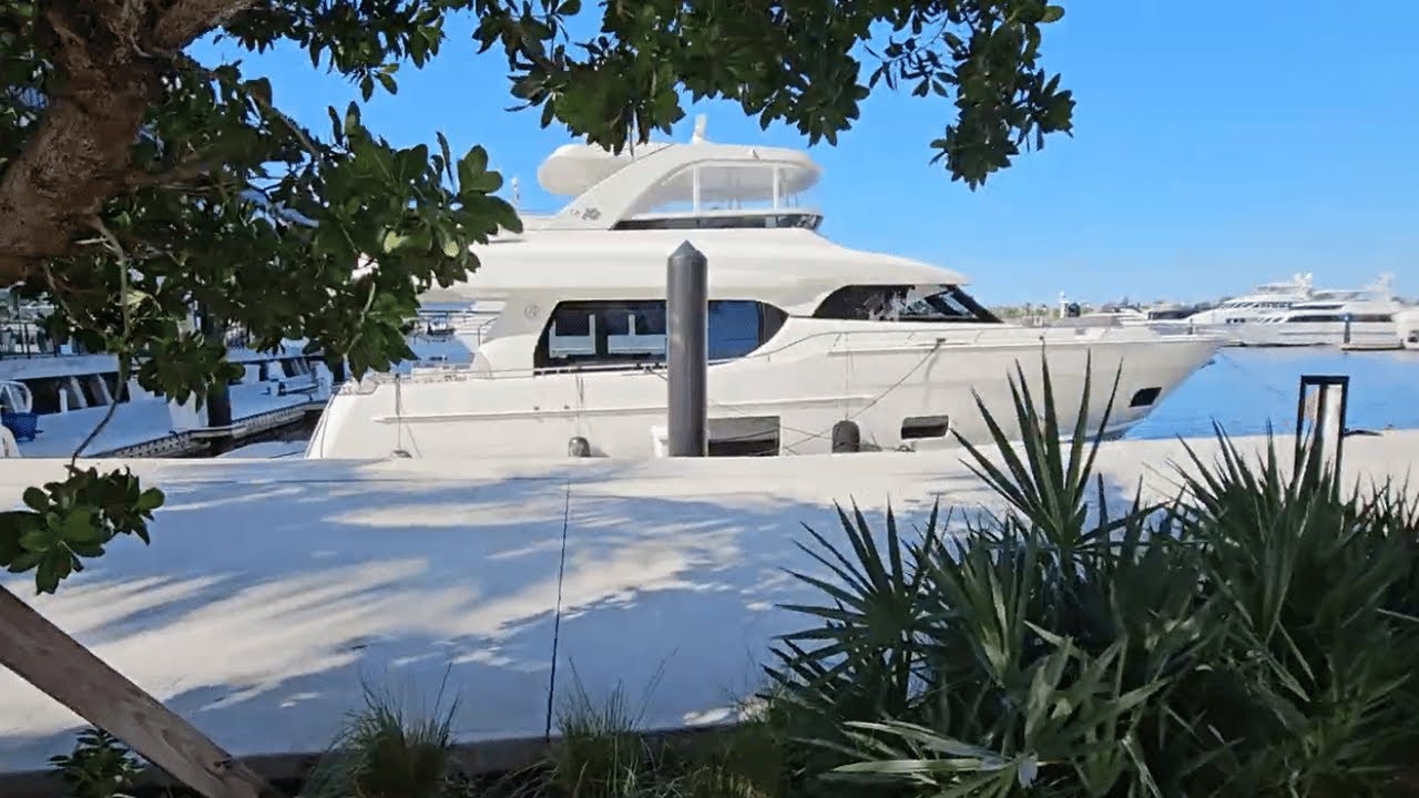 Look What I found on My Peaceful South Florida Marina Walk