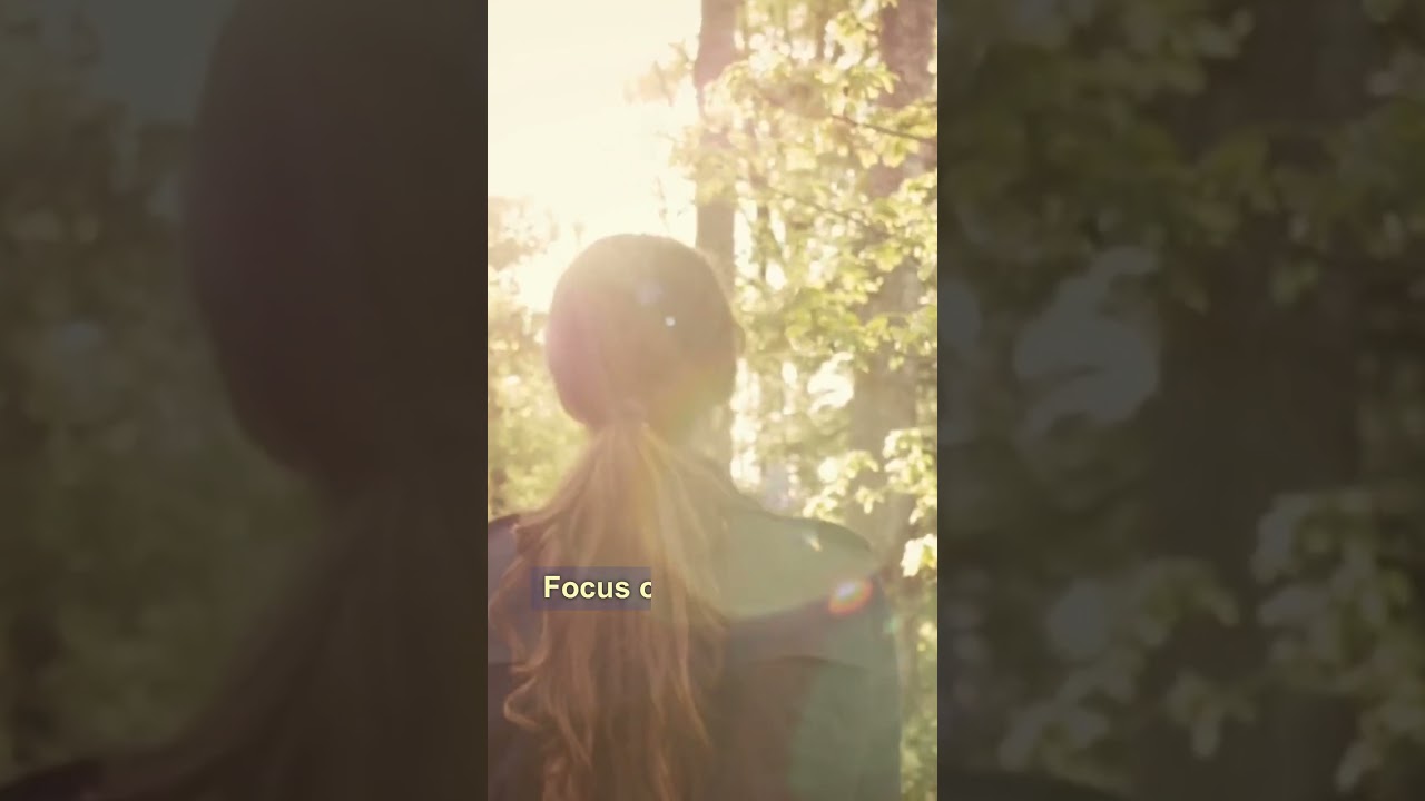 Guided by Light: Always Toward Sunshine | Self Mastery With Shobeir 