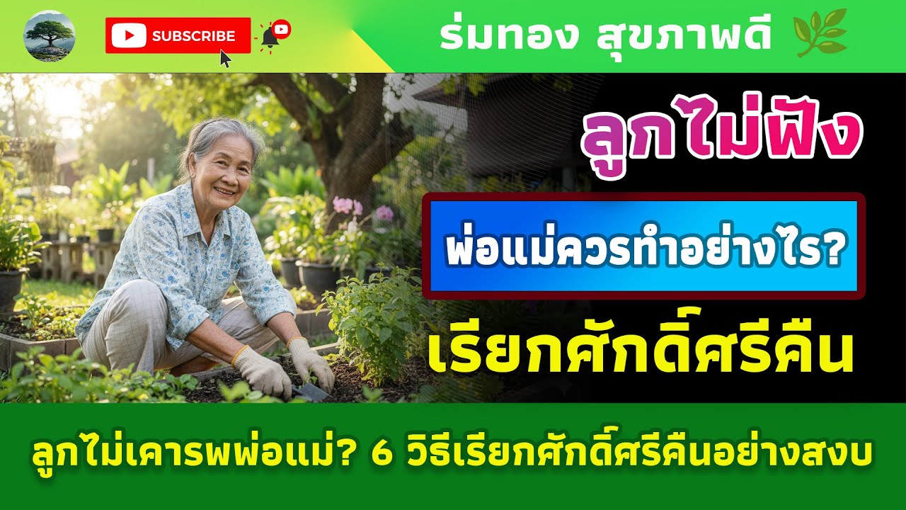ลูกไม่เคารพพ่อแม่? 6 วิธีเรียกศักดิ์ศรีคืนอย่างสงบ | ร่มทอง สุขภาพดี