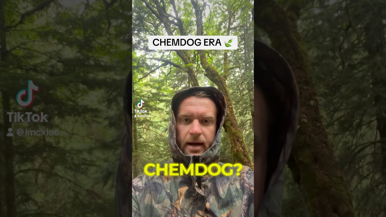 Chemdog 🍃 Era