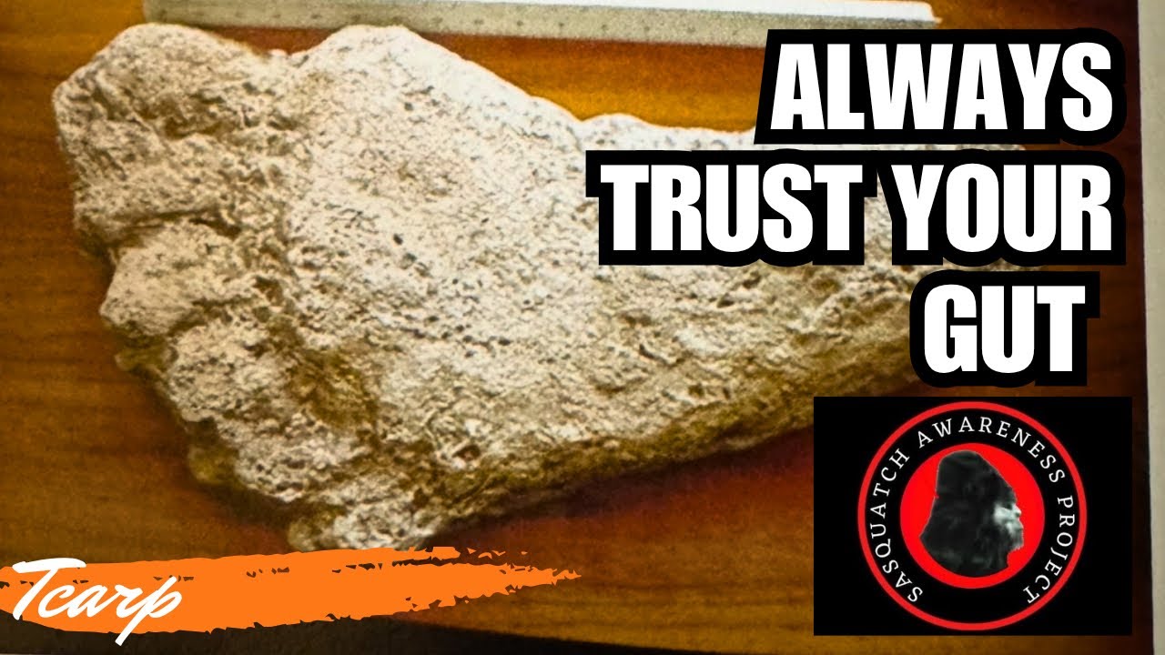 Trust Your Gut With Sasquatch | Sasquatch Awareness Project | Scott Carpenter