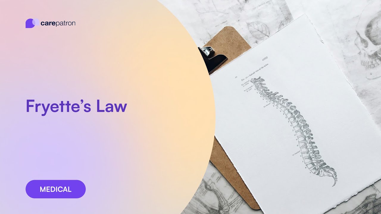 Fryette's Laws