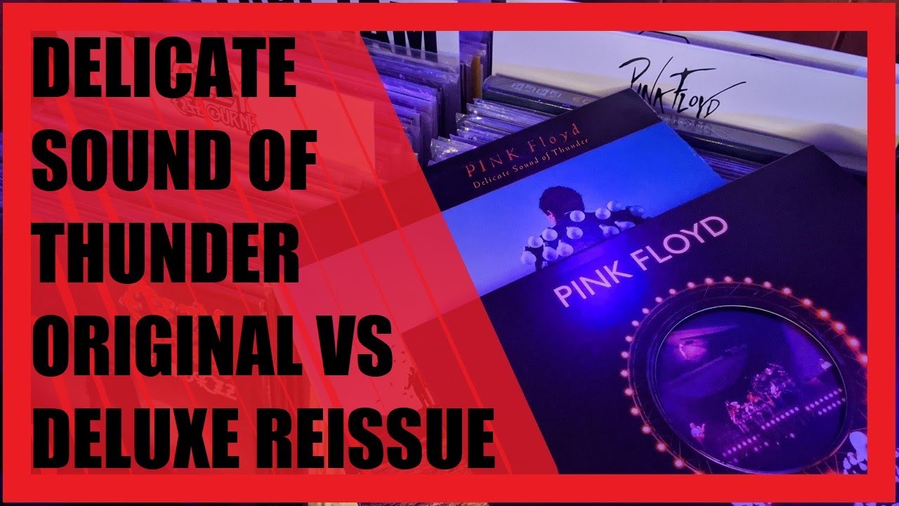 Pink Floyd - Delicate Sound of Thunder Vinyl Pressing Comparison | Vinyl Community