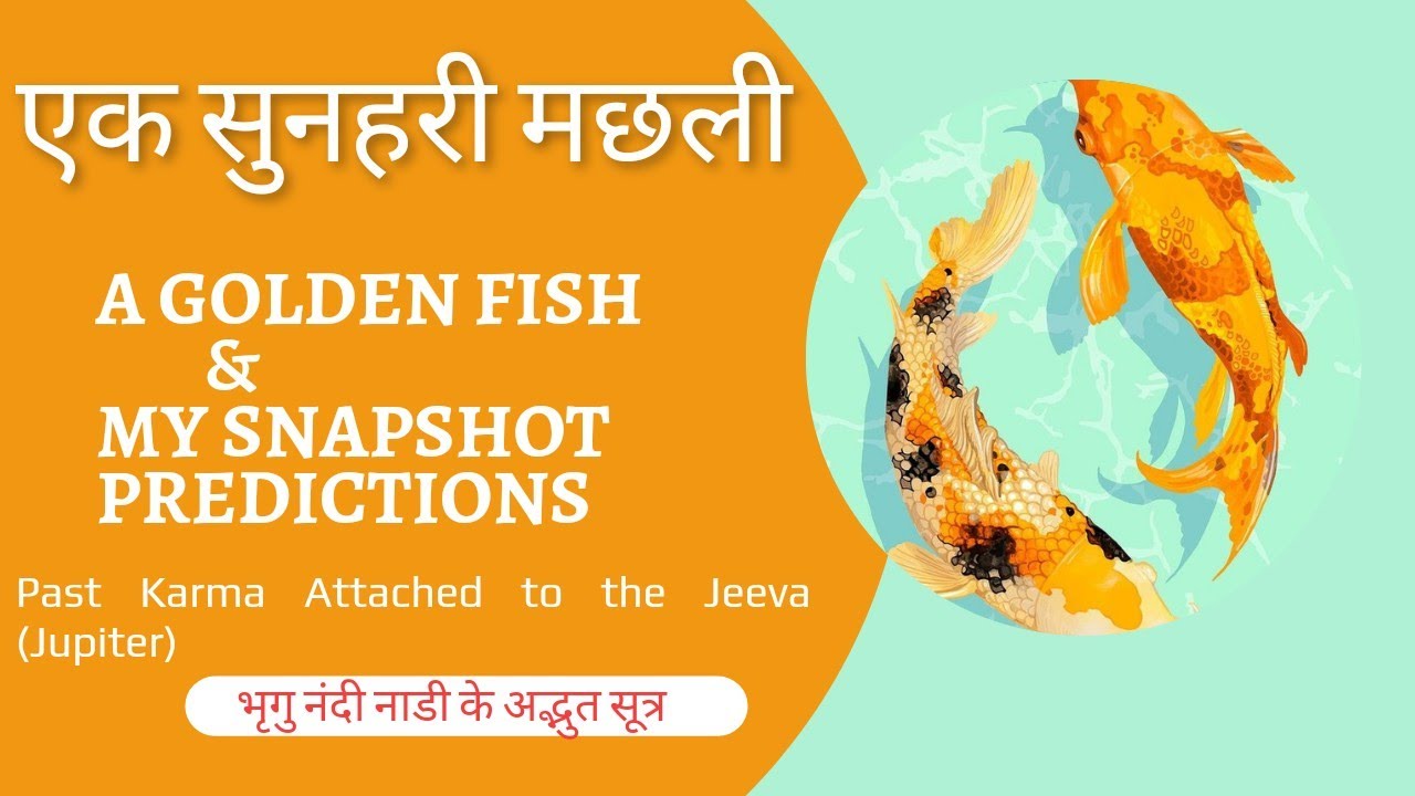karma of Rahu & Snapshot Predictions of Bhrigu Nandi Nadi/पूर्व जन्म के कर्म और जन्मुकुंडली के गुरु