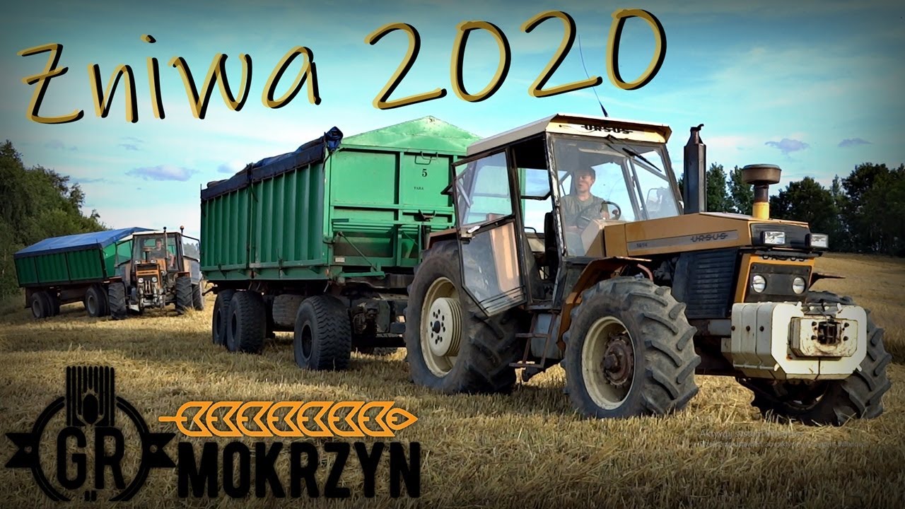 PIERWSZE ŻNIWA 2020 W GR MOKRZYN 😱 Jęczmień hybrydowy Hyvido Galileoo 🌾 [ Syngenta Challenge #7 ]