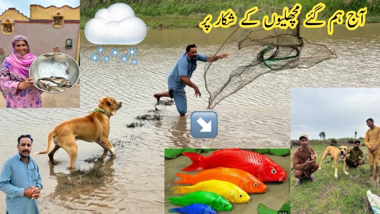 Baarish K Mausam Main Kia Machhlion Ka Shikar || Village Vlogs 