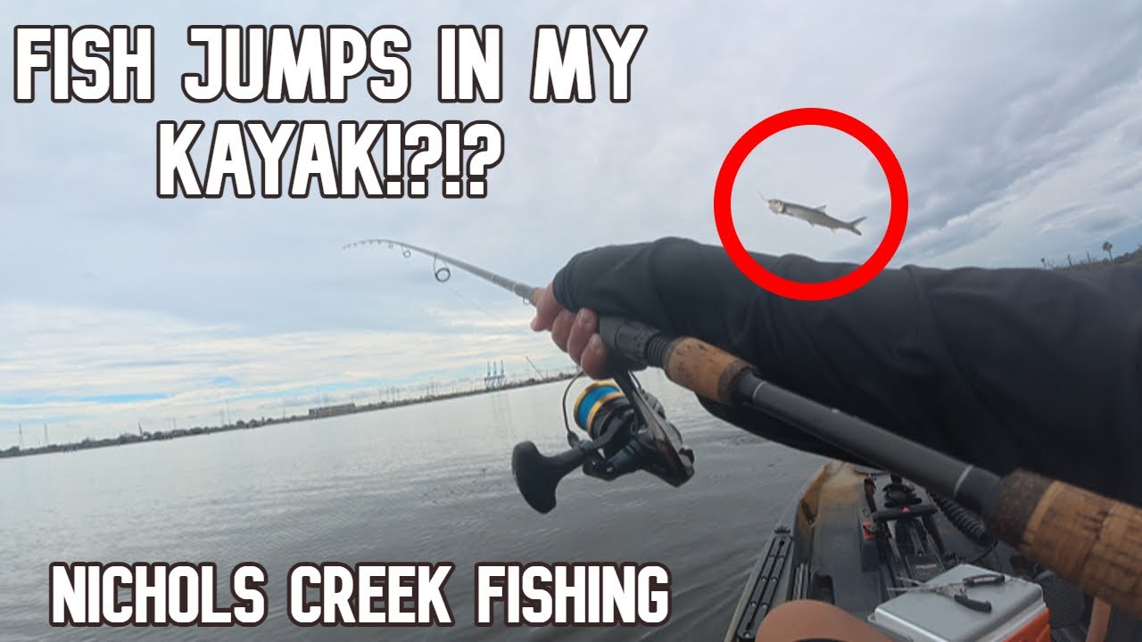 FISH JUMPS IN MY KAYAK? (Nichols Creek Fishing)