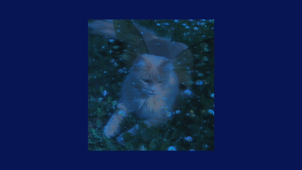 Наталья Ветлицкая &mdash; Лунный кот (speed up)
