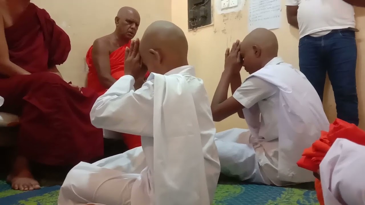 podi sadu