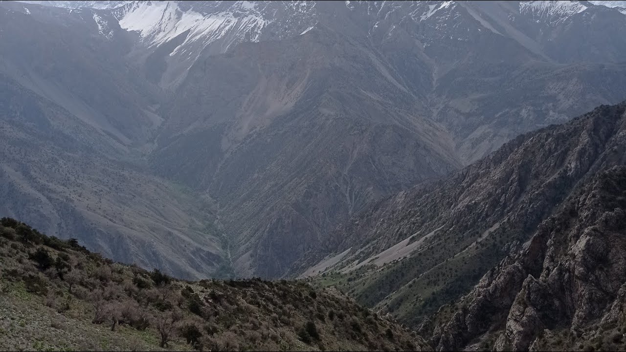 АБДУЛЛО ХАЁЛОВ ОШИ НАХОР