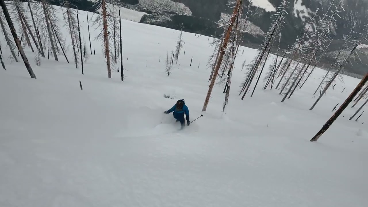 First person tree skiing with the DJI Osmo Action 5 Pro with Jeremy & Olivier