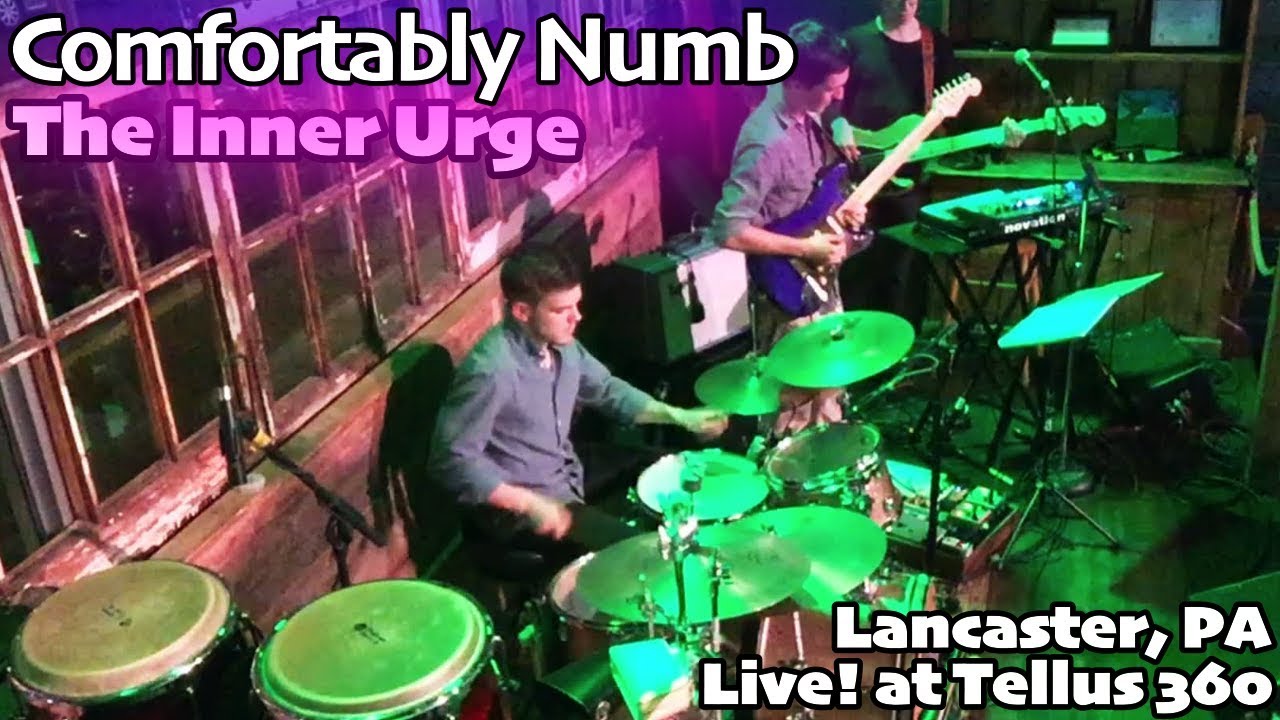 Guitar Solo on Comfortably Numb - The Inner Urge // (Live) Lancaster, PA