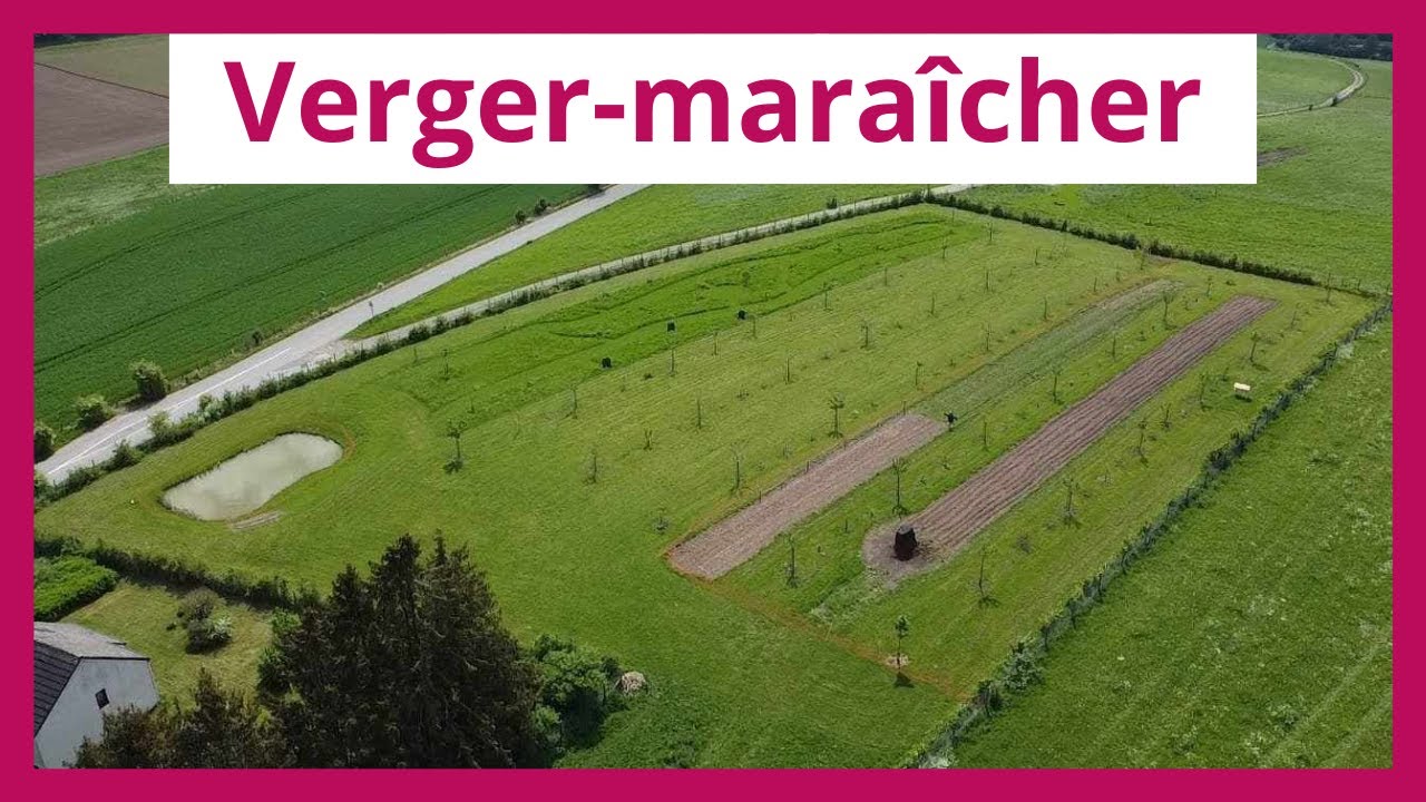 Visite d’un verger-maraîcher en permaculture : Au Vert de Terre