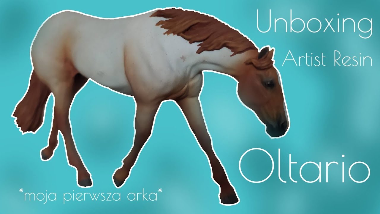 Unboxing AR Oltario *moja pierwsza arka*