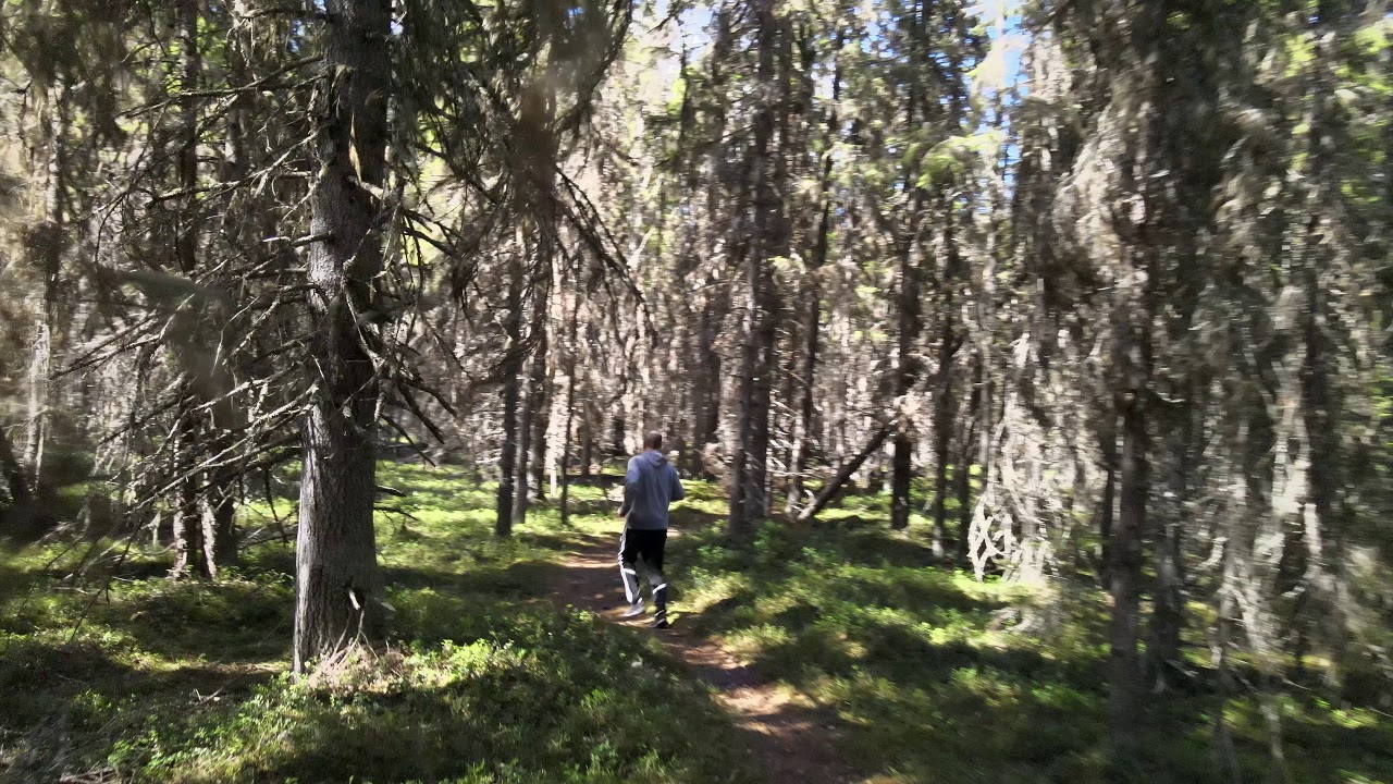 Mavic Air 2 Activetrack 3.0 Amazing Maneuvers In the Woods