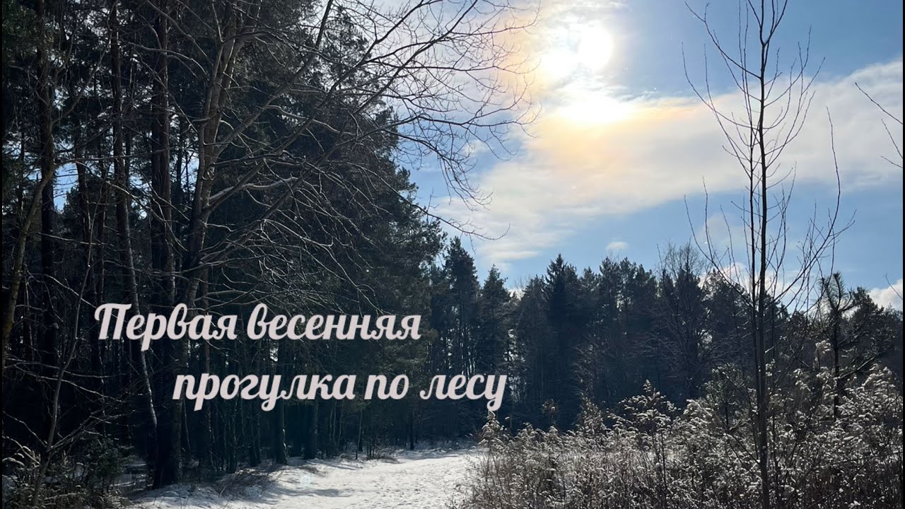 Первая весенняя прогулка по лесу.