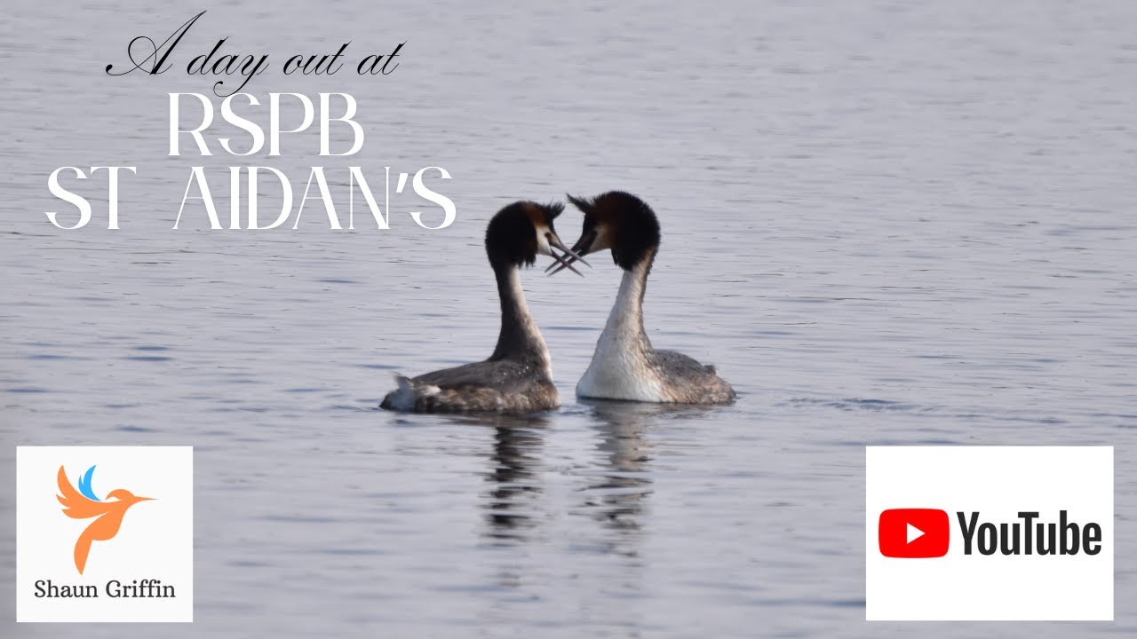 RSPB St Aidan's West Yorkshire - (Mar 25)
