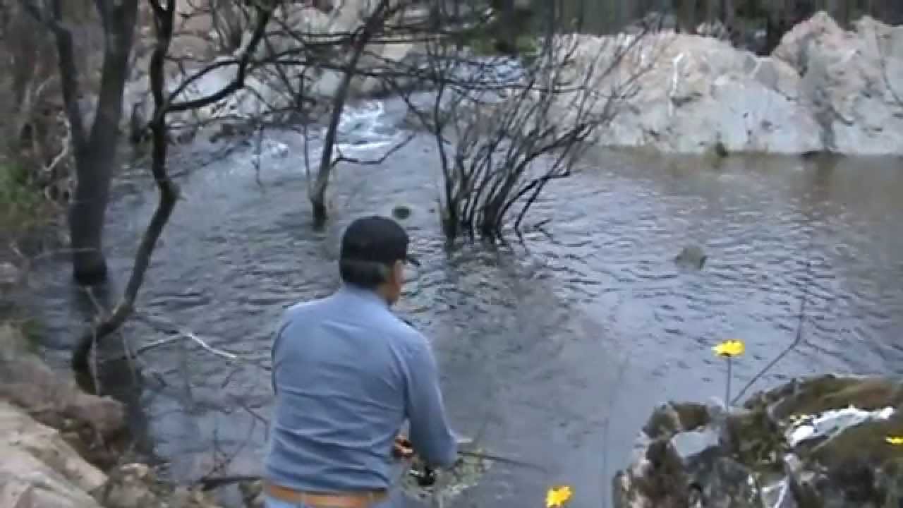 Pesca de black bass con rana Hawg Frawg - Black bass fishing with Hawg Frog Frawg