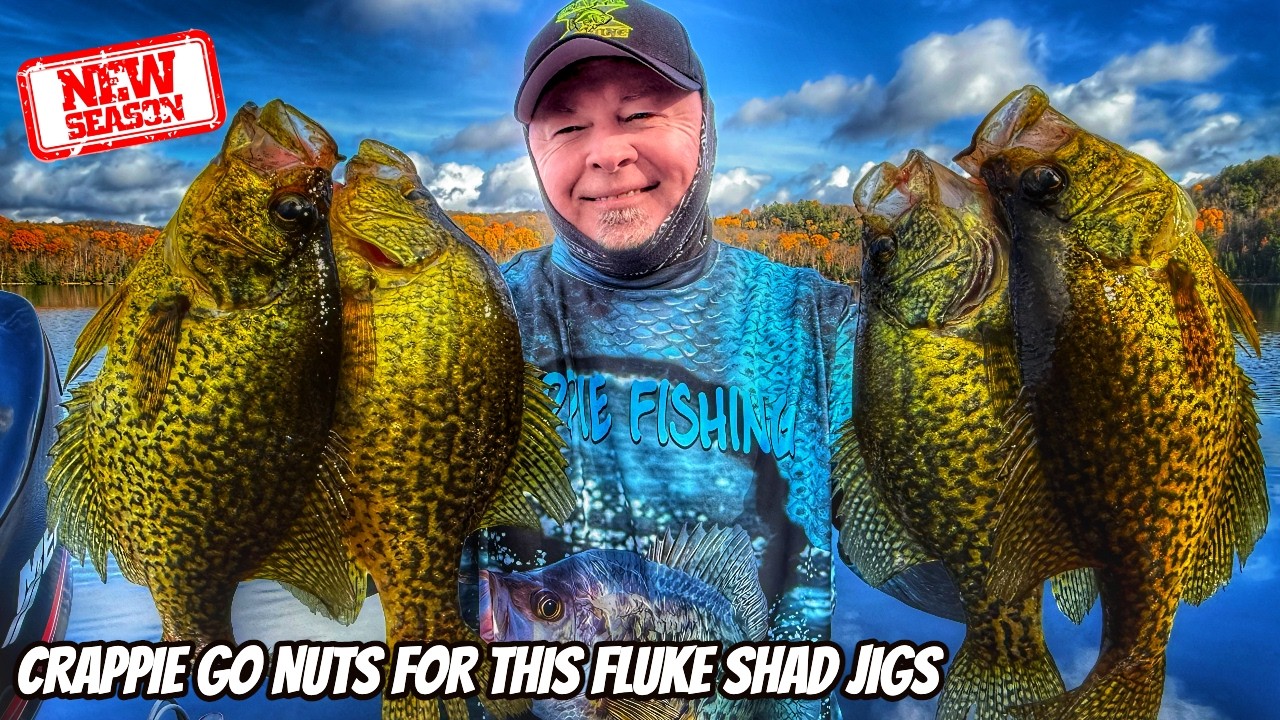 NEW-CRAPPIE GO NUTS FOR THIS FLUKE SHAD JIG- Full length episode!