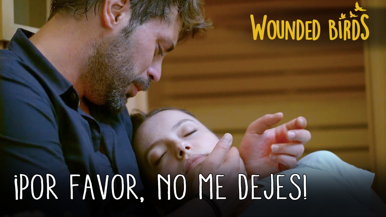 &iexcl;Por favor, no me dejes! | Wounded Birds (Yaralı Kuşlar) Cap&iacute;tulo 112