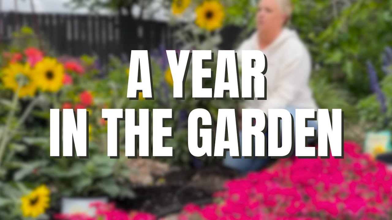 A Year in the Garden 🌳 12 Months of Garden Progress, Transformation & Growth