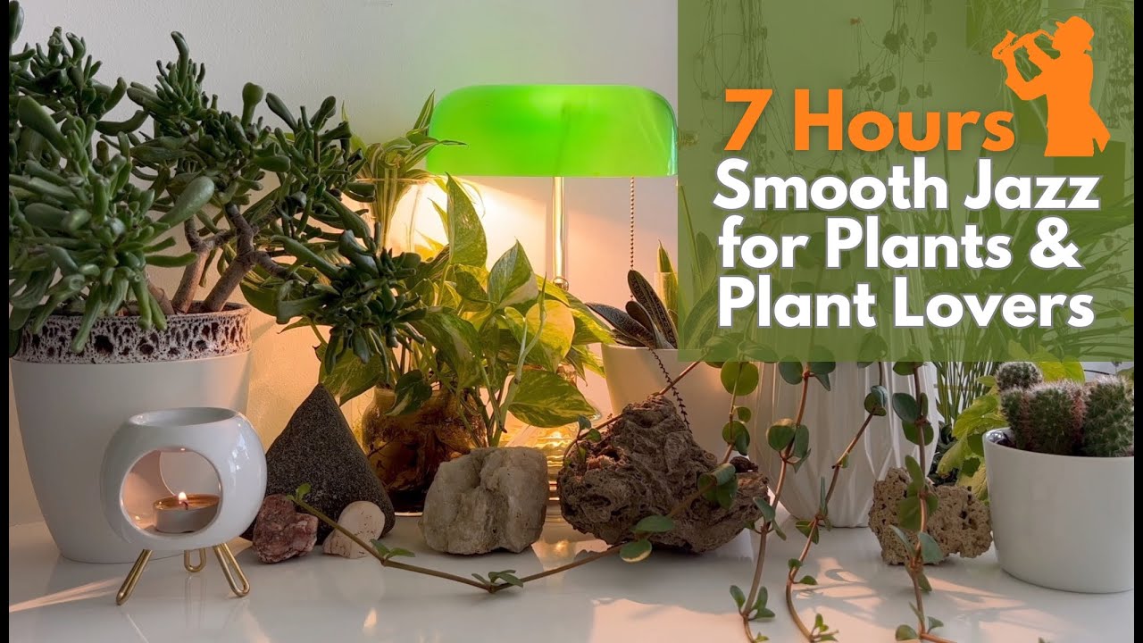 Smooth Jazz Music for Plants and Plant Lovers; 7 Hours Jazz Music for Happiness
