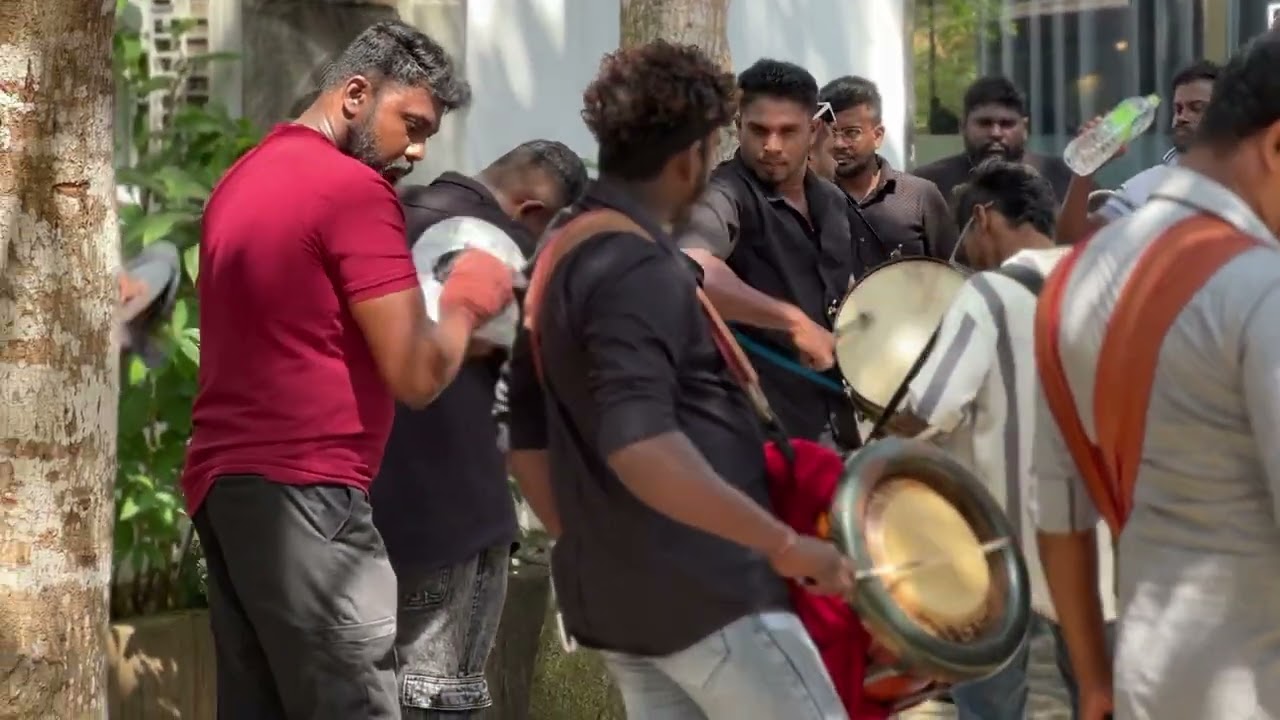 සුදු පාට මල් වැටුනු 