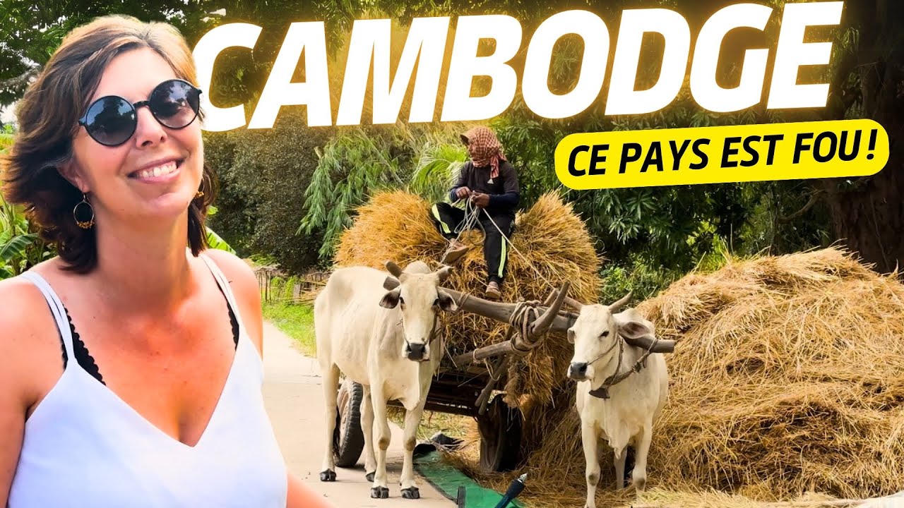 ON N’AURAIT JAMAIS PENSÉ FAIRE ÇA LORS DE NOTRE VOYAGE AU CAMBODGE 🇰🇭 (Impossible de résister !)