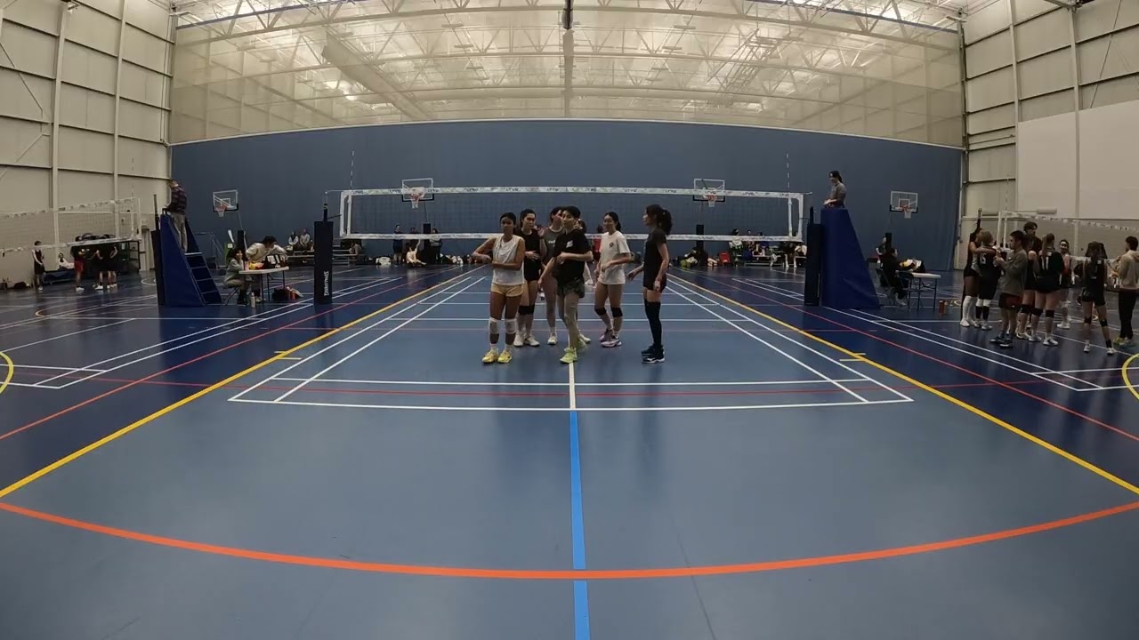 LTVQ 14 Mar 2026 Fire Chickens Game  4a