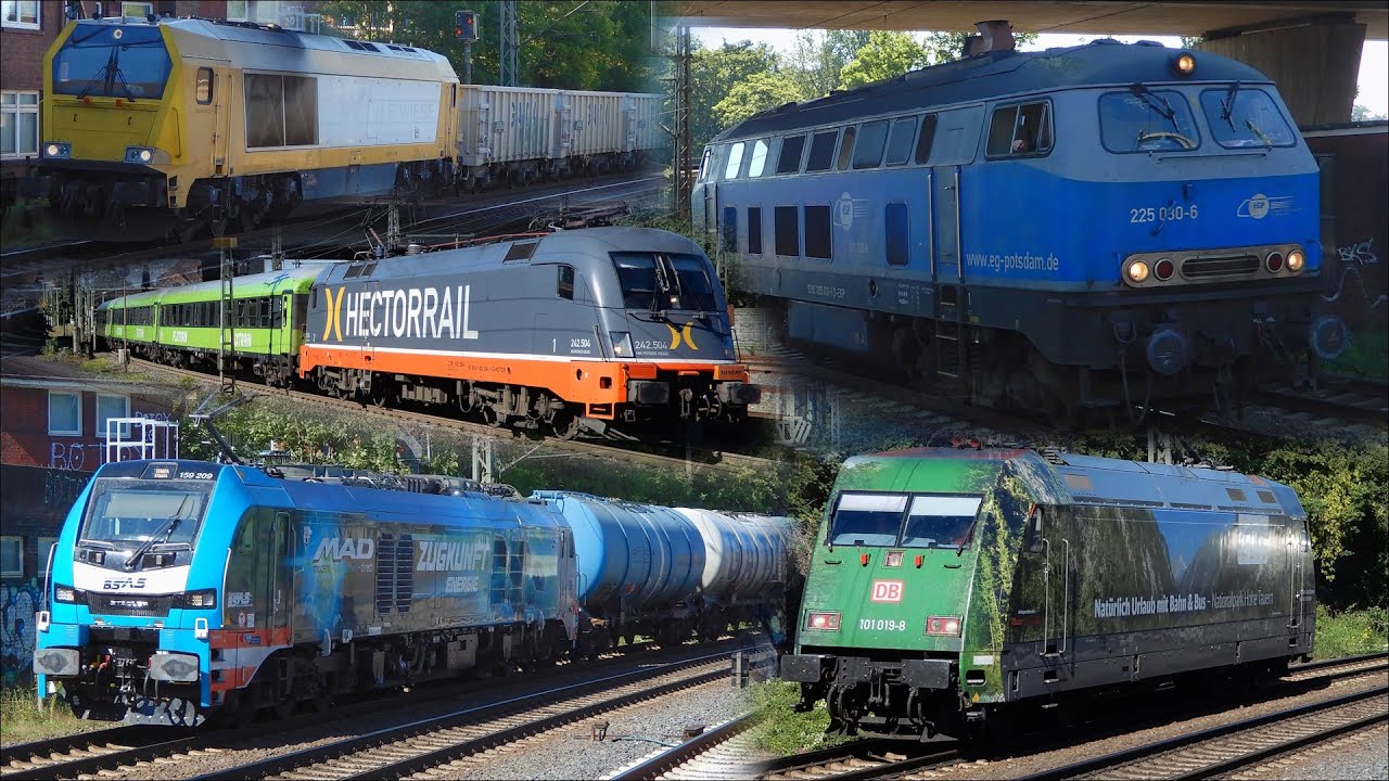 Freight Trains GALORE at Hamburg-Harburg | 7th September 2023