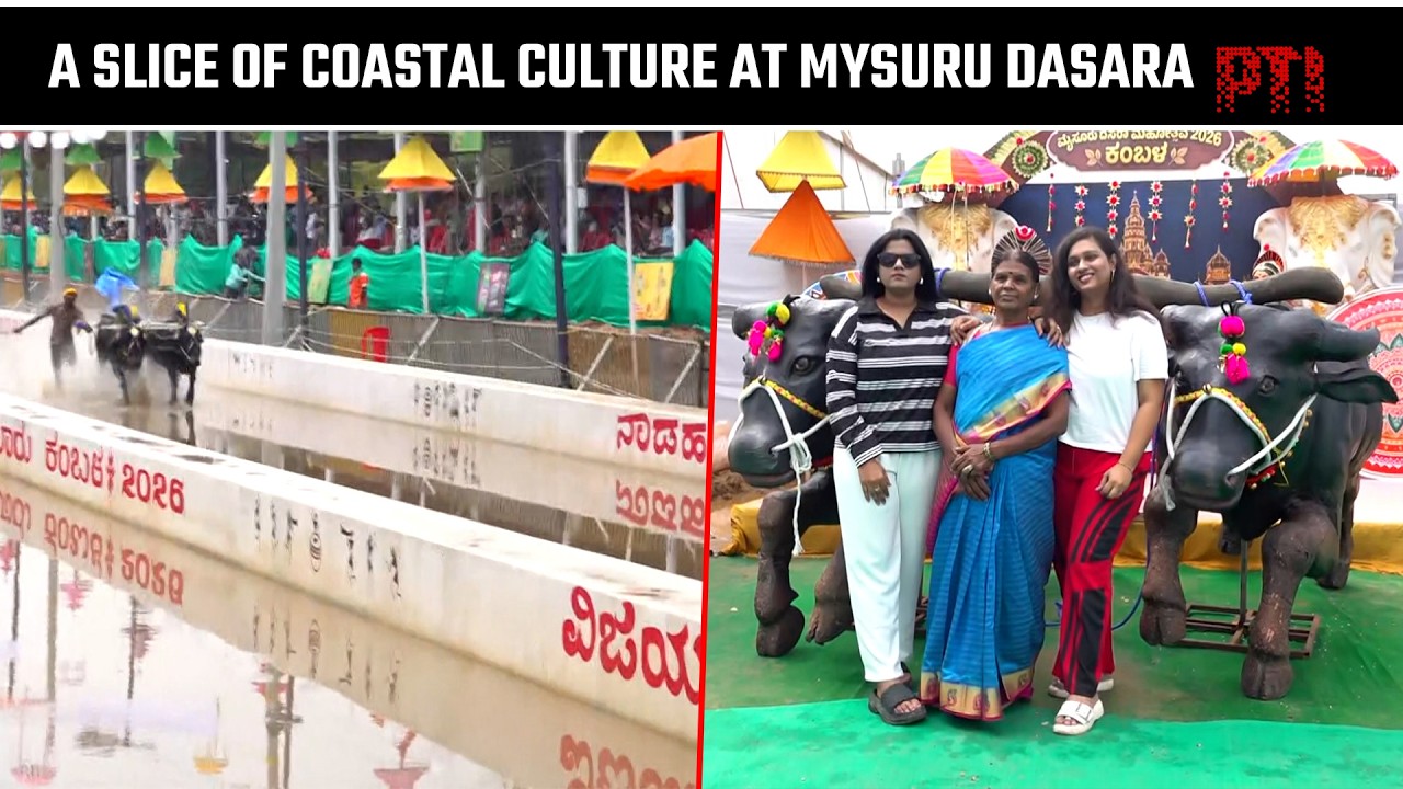 Kambala comes to Mysuru Dasara: Coastal Karnataka&rsquo;s tradition takes centre stage