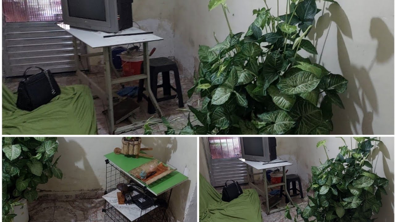 Sala Transformada Com Portas de Guarda Roupas  Ficou Muito Aconchegante