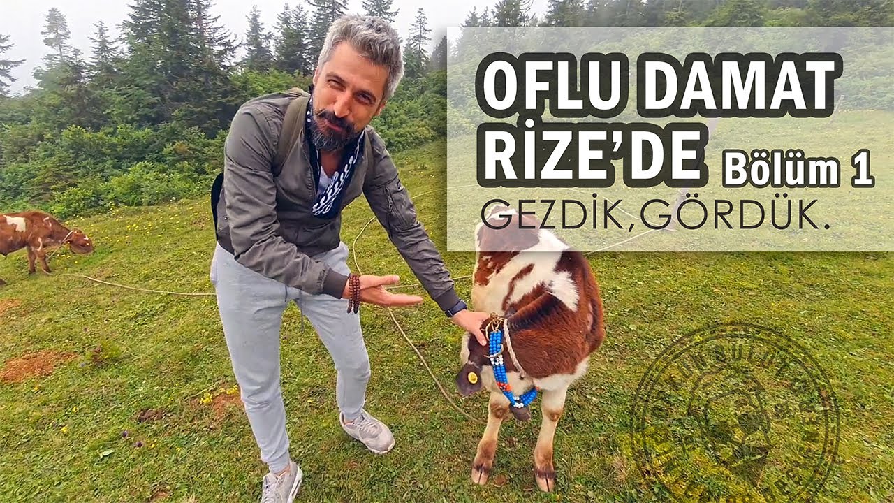 Oflu Damat Rize'de Bölüm 1