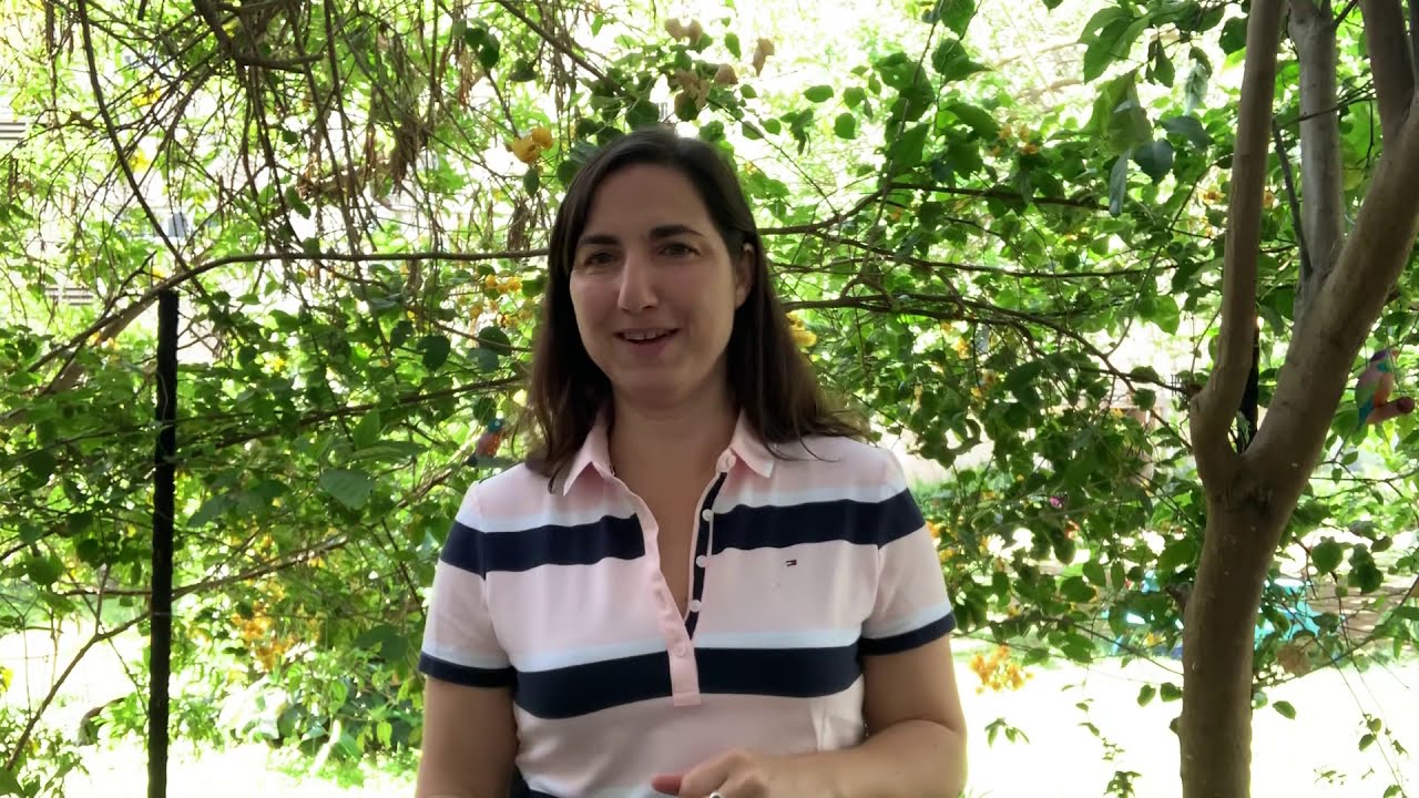 טיפ  שישי לימי קורונה – בחירת מערכת מידע, כתיבת אפיון צרכים