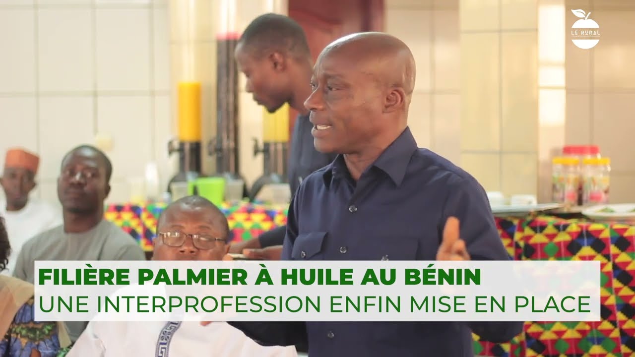 FILI&Egrave;RE PALMIER &Agrave; HUILE AU B&Eacute;NIN : Une Interprofession enfin mise en Place