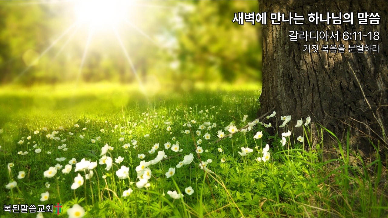 거짓 복음을 분별하라 / 갈라디아서 6:11-18