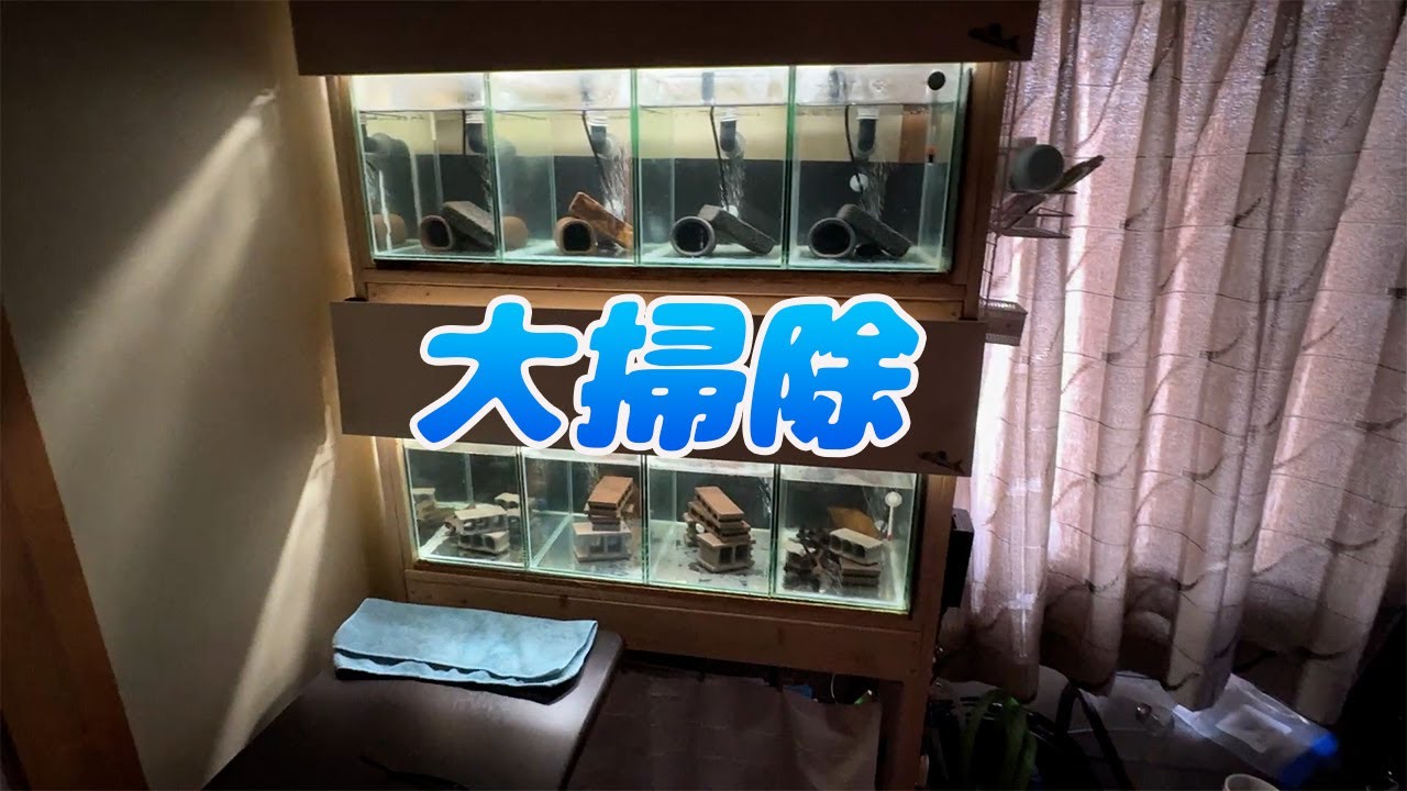 904キンペコ飼育日誌Vol.115