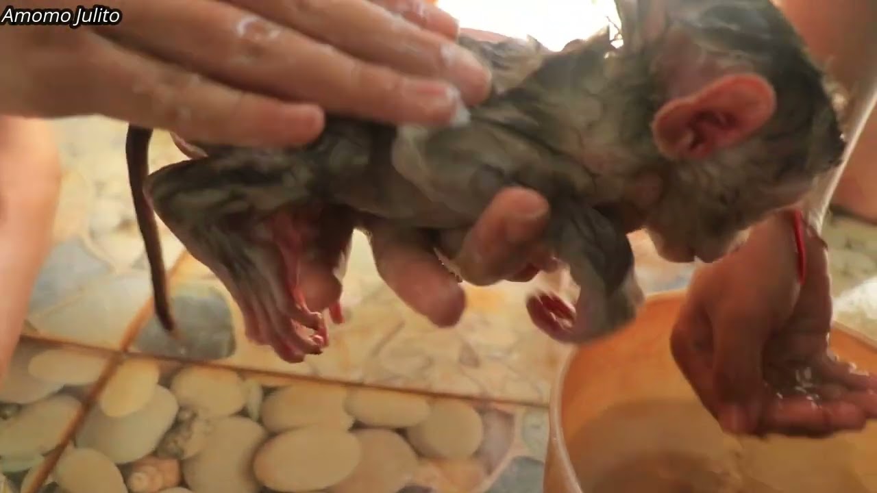 Timing for changing hygiene pans and taking a bath