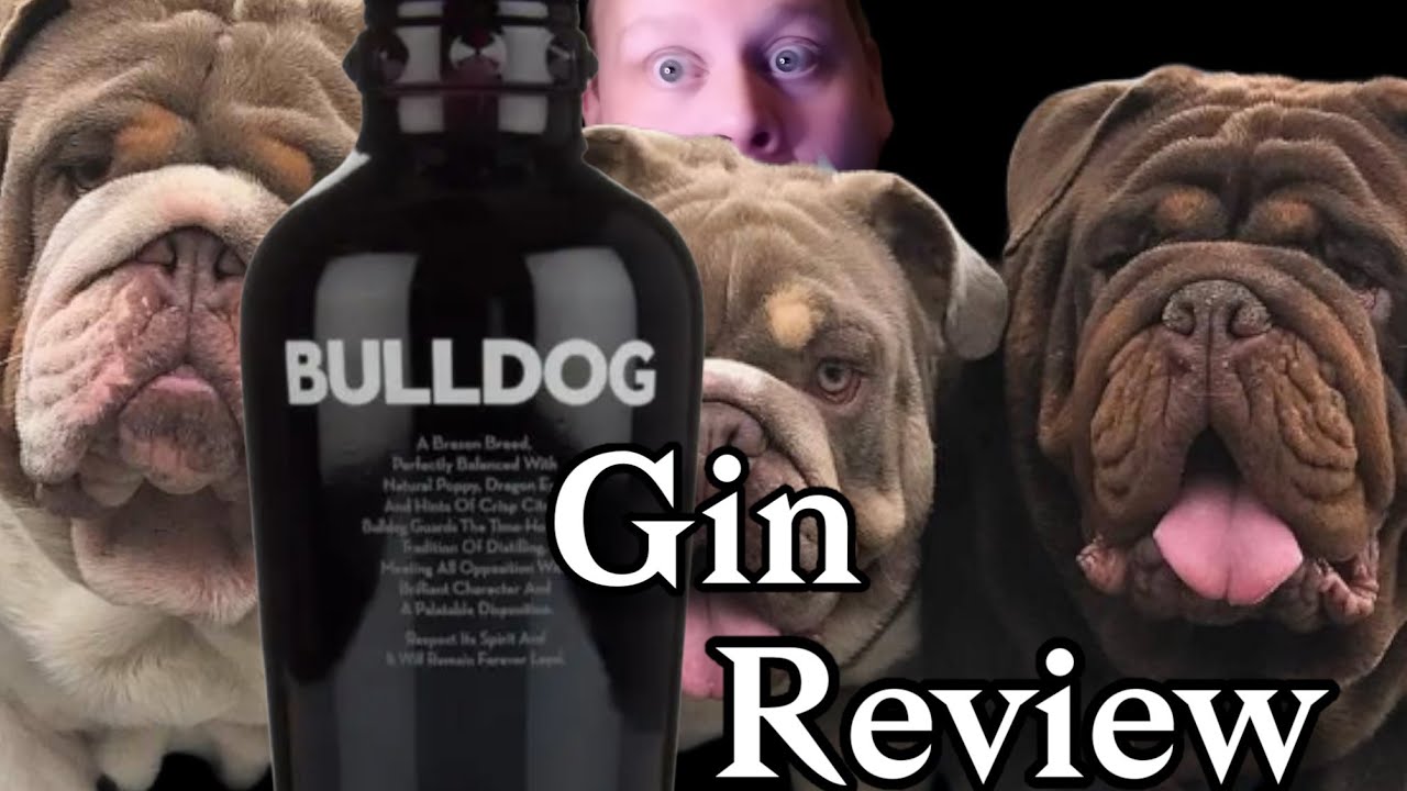 Bulldog Gin Review #ginjoe #gin
