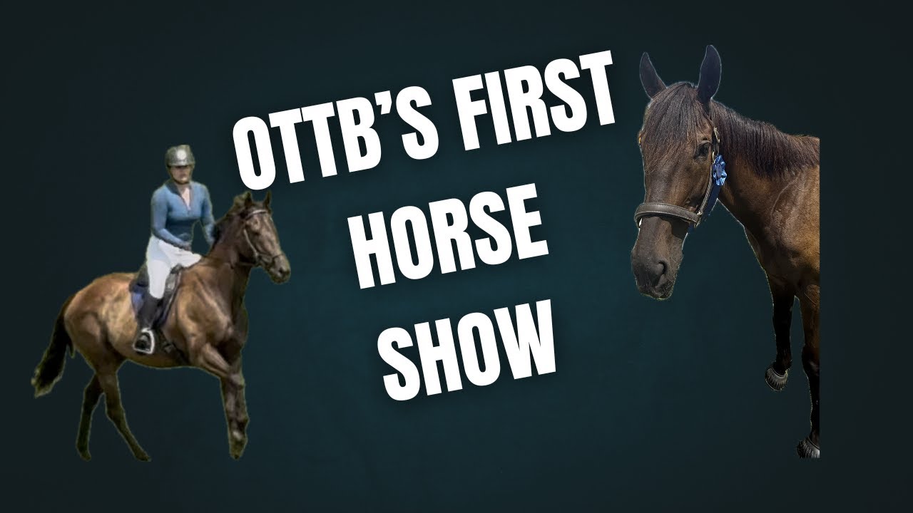 My Young Horse's First Horse Show! - Combined Test Horse Show Vlog