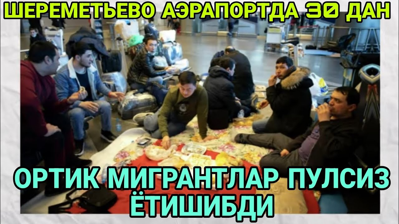 МУСОФИРЛАР СРОЧНО 😱 ШЕРЕМЕТЬЕВО АЭРАПОРТДА 30 ОРТИК МИГРАНТЛАР ПУЛСИЗ ЁТИШИБТИ