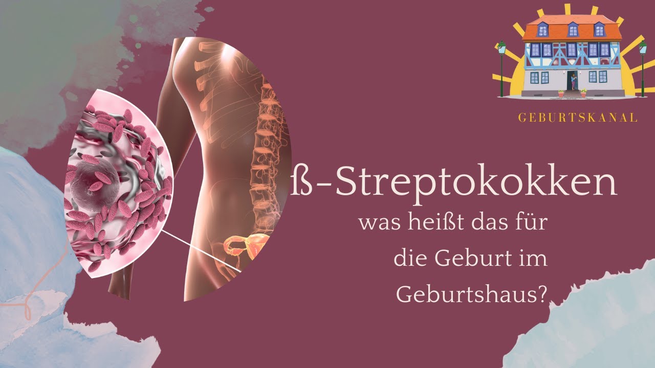ß-Streptokokken Abstrich? Wann und wozu? ☀️ Geburtshaus Idstein