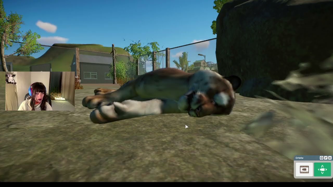 J'ai des TIIIGRES !!!!  - PlanetZoo n°4